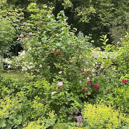 Kleine - Stoertebeker Appartement Ralswiek